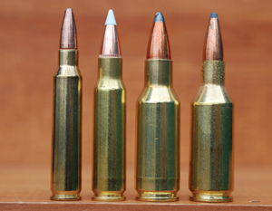 Here are just four of the over-achievers for which Olympic ARs are chambered (from left): the ubiquitous .223 Remington; the 6.8 SPC Remington; the hot new .300 Olympic Super Short Magnum; and its parent cartridge, the .25 Winchester Super Short Magnum.