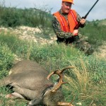 Best loads for deer hunting.