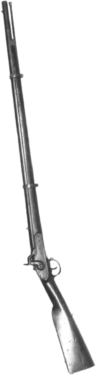 2-reb This unmarked Confederate rifle in the Springfield pattern is proof the South had an ordnance system. (Virgina Historical Society photo.