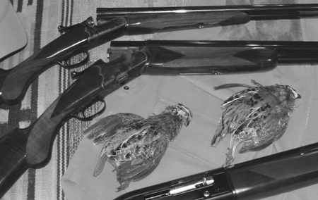 SWshotguns1-Lead450 The three new S&W shotguns used to shoot clay birds as well as hunt with during the quail/pheasant hunts. From top: Elite Gold, Elite Silver, and Model 1012 semiauto.