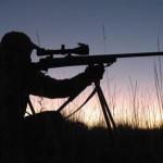 Report from the Field: Optics