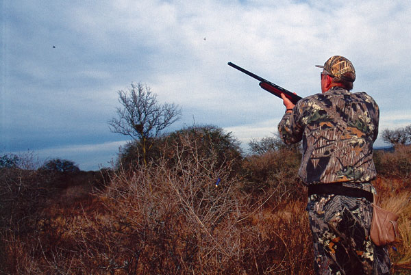 WingshootingMistakes-5 The muzzle of the gun should be steered to the lead picture with minimal movement. This is best controlled by positioning the gun just under the armpit, with the muzzle elevation starting just under the line of the bird