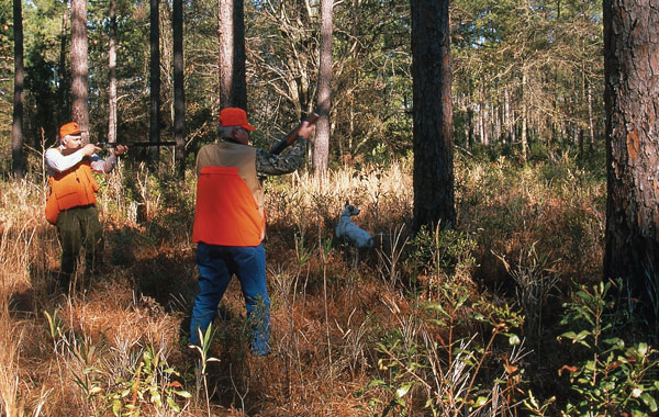 WingshootingMistakes-6 When the gun is noticeably out of place relative to the target, the shooter rarely has time to recover quickly enough to make a successful shot.