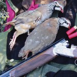 24shotgunning