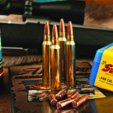 .300 Winchester Magnum reloaded with Swift A-Frame bullets.
