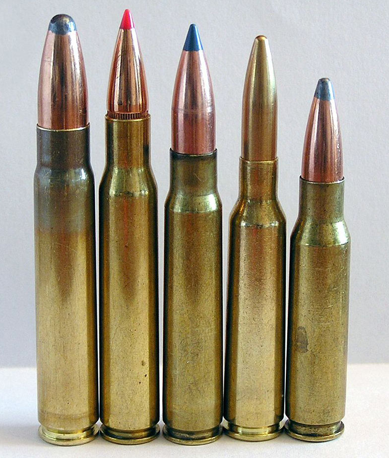 The 9.3x62 Mauser (left) compared to a number of popular rifle cartridges. Next in line from the left: .30-06 Springfield, 8x57 IS, 6.5x55, .308 Winchester.