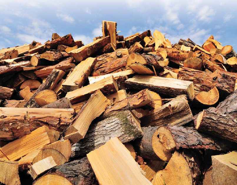 Share This Guide to the Best Firewood Gun Digest