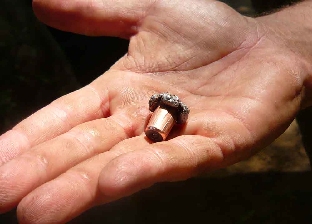 Classic expansion of a bonded core bullet, a 400-grain .416 Swift A-Frame recovered from a Cape Buffalo.
