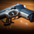 Is High-Velocity Ammo Worth It?