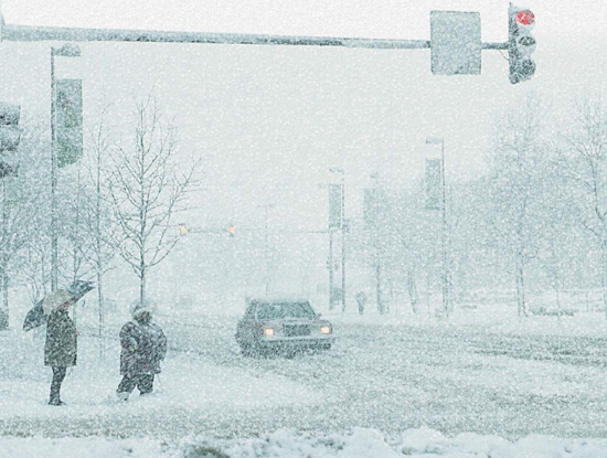 How to Survive a Blizzard Tips on How to Survive a Blizzard