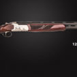 Pointer Shotguns