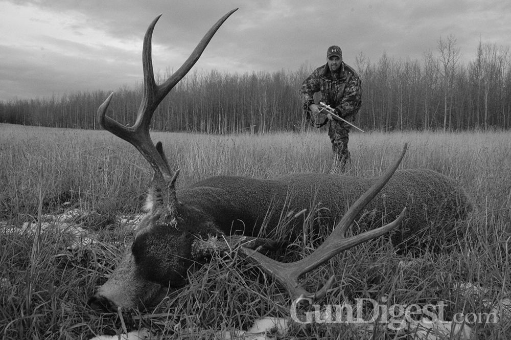 Long_Range_Shooting_2 A bullet may have to travel far across Alberta stubble. This hunter took care with his shot and made it good. Cartridges like the .270 and .280 and the 7mm magnums excel here.