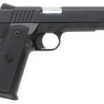 Pike County Illinois forced to consider Constitutional Carry.