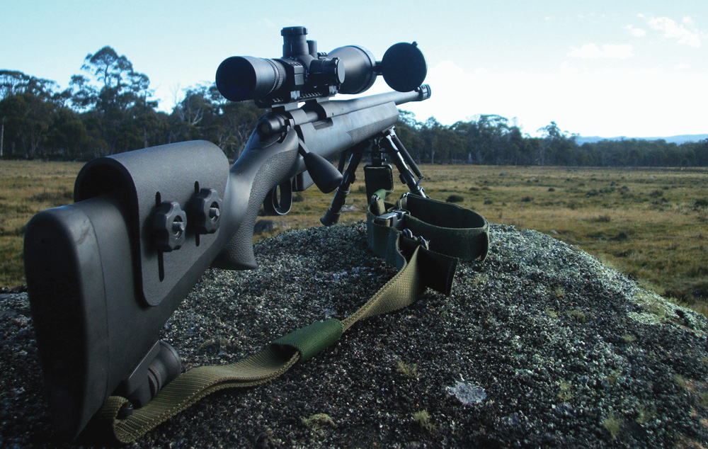 Range Estimation Techniques in Rifle Shooting.