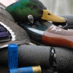 Gun Review: Remington Model 1100