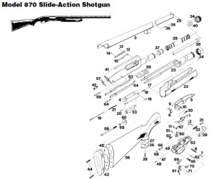 Exploded Shotgun
