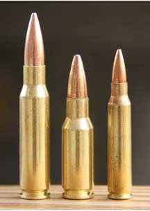Remington .30 Remington .30 AR