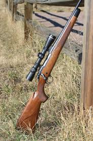 Remington700MountainRifle