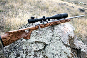 RifleShootingMyths-5 Some shooters mistakenly believe that the firearms marketed as stainless are impervious to rusting. This assumption is wrong. What the factories call stainless is not true stainless steel, and, like a blued firearm, they will rust if not properly cared for.