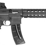 According to Congresswoman Dianne Feinstein (D), this is an assault weapon. The rest of us know this .22 to be a squirrel hunting rifle.