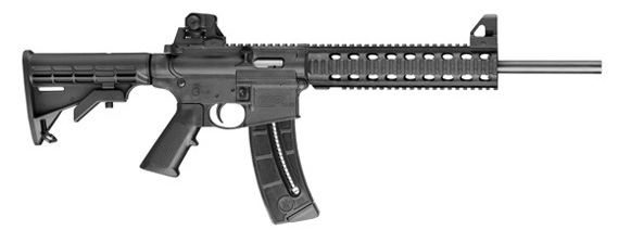SmithWessonMP1522LR According to Congresswoman Dianne Feinstein (D), this is an "assault weapon." The rest of us regard this .22 as a squirrel hunting rifle. Are BB guns next?