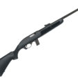 .22 rifles