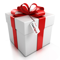 Ultimate Gift Guide for Gun Owners - Best Gifts for Men!