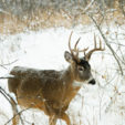 Photo by shutterstock.com.